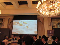 IMG_1076.JPG