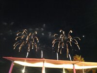 DSC_2573.JPG